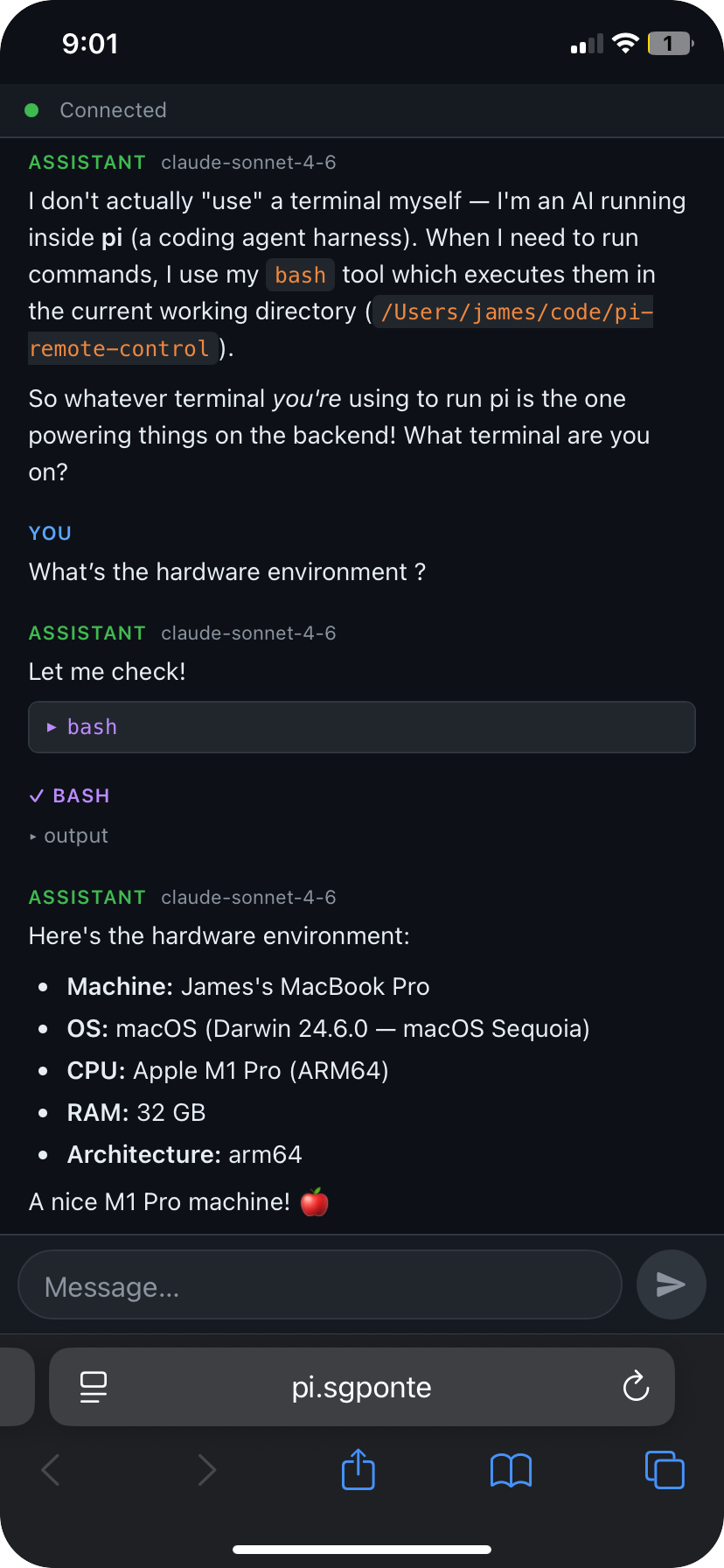pi remote control on iPhone via pi.sgponte